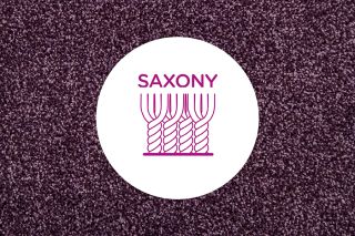 Cross section of cut pile yarns in a saxony carpet on a neutral carpet background